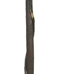 Amish Rustic Hickory Twig Floor Lamp (Shade Not Included) -Home Decoration Sales 2024 Amish20Blue20Mountain20Hickory20Floor20Lamp