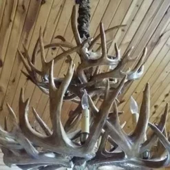 White Tail Deer Antler Chandelier - Two Tier -Home Decoration Sales 2024 pid 53147 Amish Two Tier Antler Chandelier 100