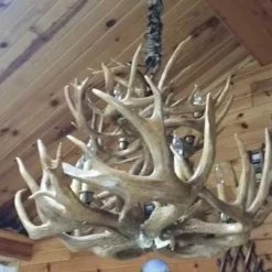 White Tail Deer Antler Chandelier - Two Tier -Home Decoration Sales 2024 pid 53147 Amish Two Tier Antler Chandelier 110
