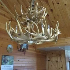 White Tail Deer Antler Chandelier - Two Tier