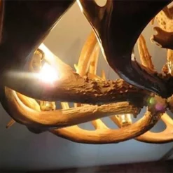 Genuine White Tail Deer Antler Chandelier - Single Tier -Home Decoration Sales 2024 pid 53148 Amish Single Tier Antler Chandelier 100