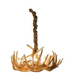 Genuine White Tail Deer Antler Chandelier - Single Tier -Home Decoration Sales 2024 pid 53148 Amish Single Tier Antler Chandelier 80