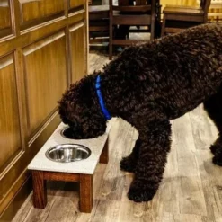 Amish Double Bowl Dog Diner - Quick Ship -Home Decoration Sales 2024 pid 55349 Amish Double Bowl Dog Diner 160