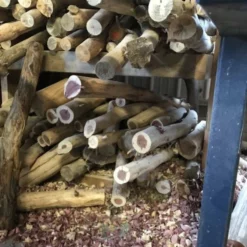 Amish Log Cordless Table Light 8 Amish Log Cordless Table Light -Home Decoration Sales 2024 pid 64764 Amish Log Cordless Table Light 30