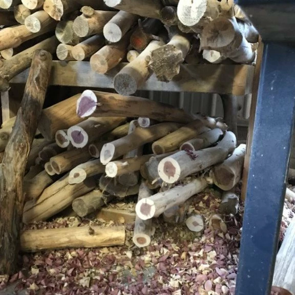 Amish Log Cordless Table Light 3 Amish Log Cordless Table Light - Image 3