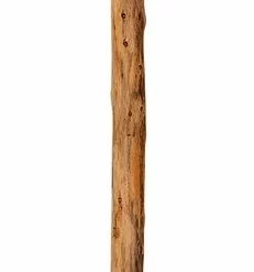 Amish Log Floor Lamp