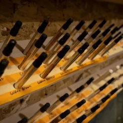 PCL Stain Touch Up Pens 6 PCL Stain Touch Up Pens -Home Decoration Sales 2024 pid 67575 PCL Stain Touch Up Pens 70