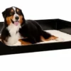 Amish Springville Pet Bed Lounger