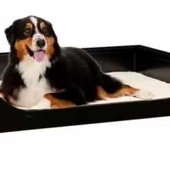 Amish Springville Pet Bed Lounger
