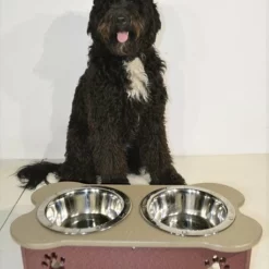 Poly Large Raised Dog Bowl Feeder 8 Cups
