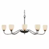 Hubbardton Forge Oval Large 8 Arm Chandelier