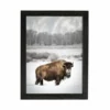 Amish Open Horizons Wall Decor - Bison Snow