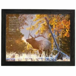 Amish Open Horizons Wall Decor - Elk Morning