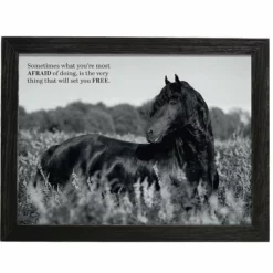 Amish Open Horizons Wall Decor - Friesian Grayscale