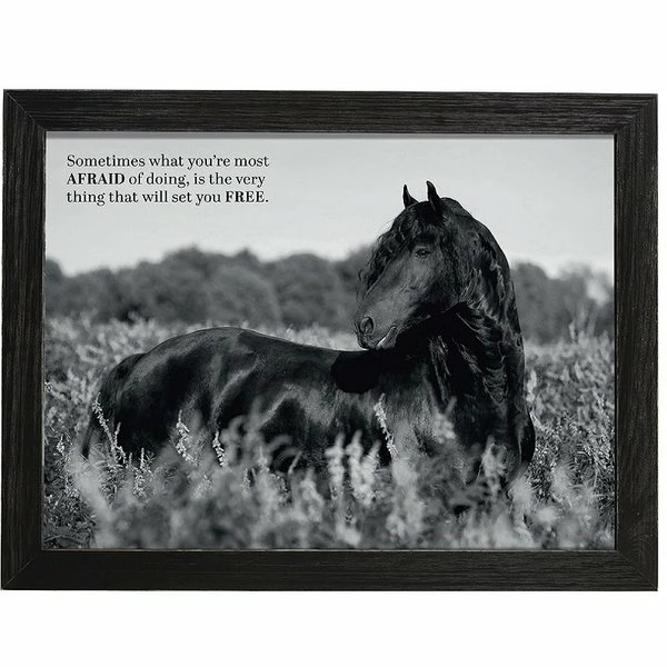Amish Open Horizons Wall Decor - Friesian Grayscale 1 Amish Open Horizons Wall Decor - Friesian Grayscale