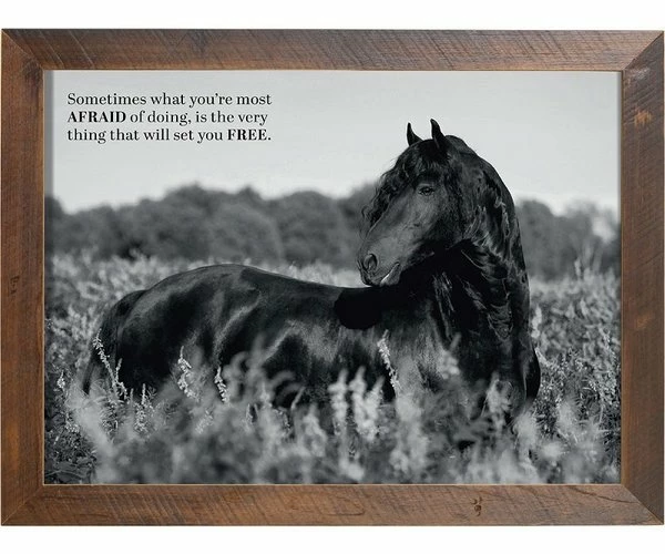 Amish Open Horizons Wall Decor - Friesian Grayscale 2 Amish Open Horizons Wall Decor - Friesian Grayscale - Image 2