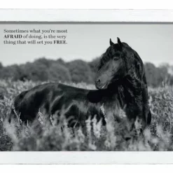 Amish Open Horizons Wall Decor - Friesian Grayscale 5 Amish Open Horizons Wall Decor - Friesian Grayscale -Home Decoration Sales 2024 pid 72157 Amish Open Horizons Wall Decor Friesian Grayscale 30