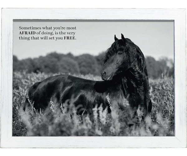 Amish Open Horizons Wall Decor - Friesian Grayscale 3 Amish Open Horizons Wall Decor - Friesian Grayscale - Image 3