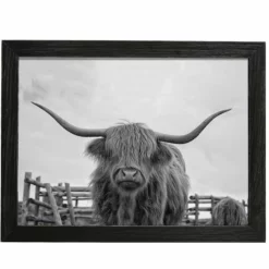 Amish Open Horizons Wall Decor - Highlander