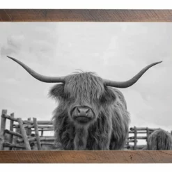 Front Page -Home Decoration Sales 2024 pid 72163 Amish Open Horizons Wall Decor Highlander 20