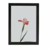 Amish Open Horizons Wall Decor - Flower