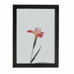 Amish Open Horizons Wall Decor - Flower
