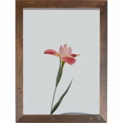 Front Page -Home Decoration Sales 2024 pid 72165 Amish Open Horizons Wall Decor IDK Flower 20
