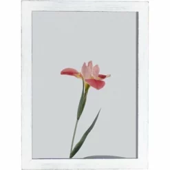 Amish Open Horizons Wall Decor - Flower -Home Decoration Sales 2024 pid 72165 Amish Open Horizons Wall Decor IDK Flower 30