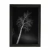 Amish Open Horizons Wall Decor - Night Time Tree
