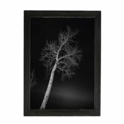 Amish Open Horizons Wall Decor - Night Time Tree