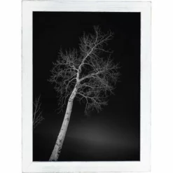 Amish Open Horizons Wall Decor - Night Time Tree -Home Decoration Sales 2024 pid 72168 Amish Open Horizons Wall Decor Night Time Tree 40
