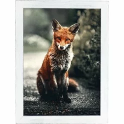 Amish Open Horizons Wall Decor - Shy Fox -Home Decoration Sales 2024 pid 72174 Amish Open Horizons Wall Decor Shy Fox 30