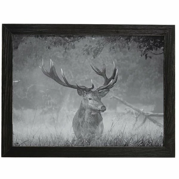 Amish Open Horizons Wall Decor - Stag Greyscale