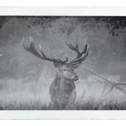 Amish Open Horizons Wall Decor - Stag Greyscale -Home Decoration Sales 2024 pid 72175 Amish Open Horizons Wall Decor Stag Greyscale 30