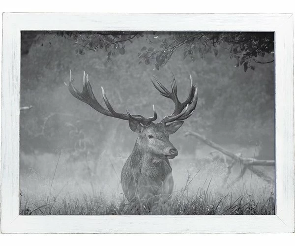 Amish Open Horizons Wall Decor - Stag Greyscale - Image 3