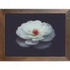 Amish Open Horizons Wall Decor - White Flower