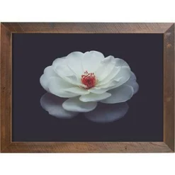 Amish Open Horizons Wall Decor - White Flower