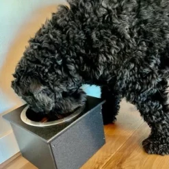 Poly Single Dog Tray - DutchCrafters Exclusive -Home Decoration Sales 2024 pid 72575 DutchCrafters Exclusive Poly Single Dog Tray 50